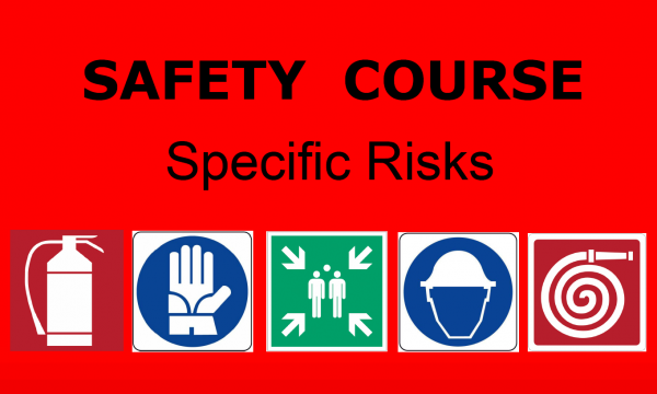 Health and Safety Workers' Specific Training.