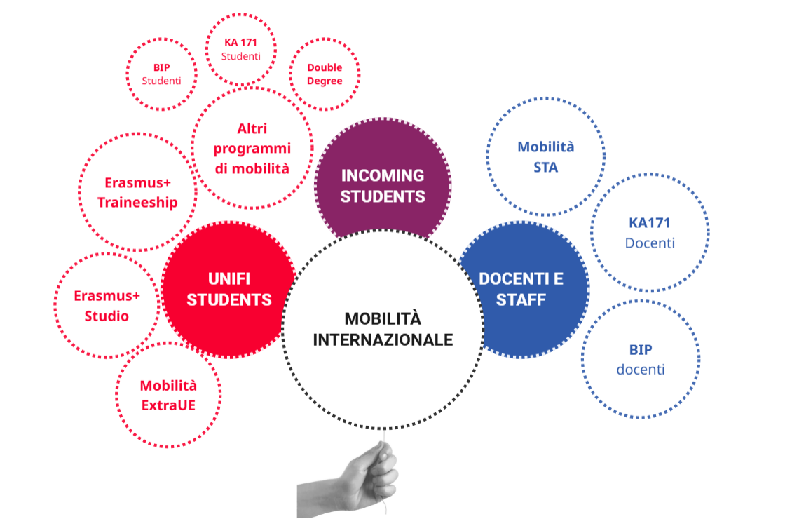 Mobilità internazionale schema