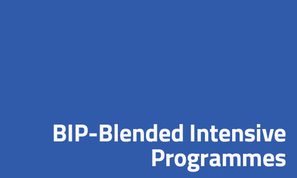bip docenti